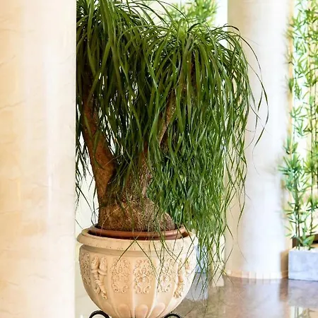 Casa Di Marco Eforie Nord