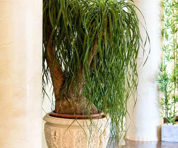 Casa Di Marco Eforie Nord